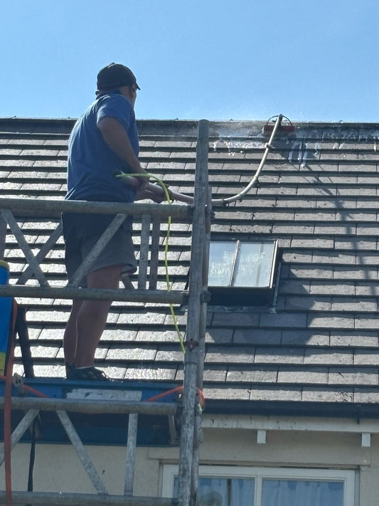 Why have your roof cleaned anyway?!